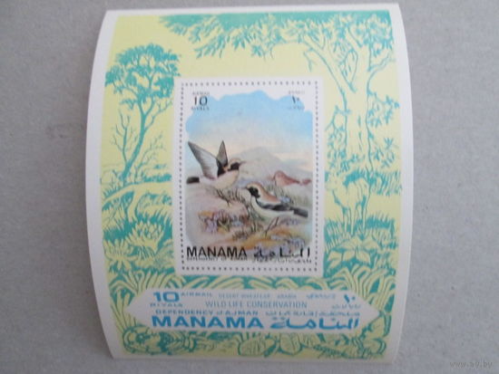 Манама. Птицы. Защита животных.