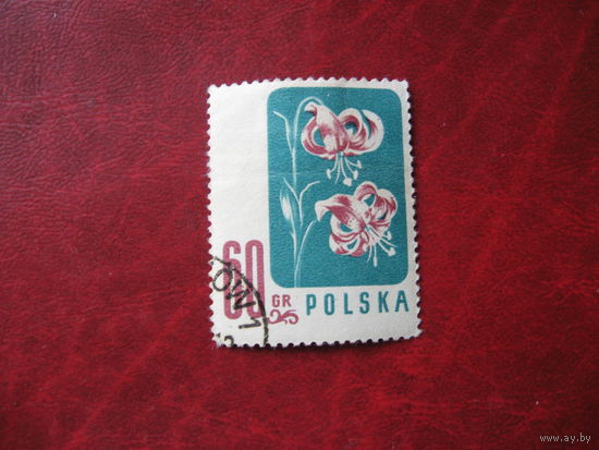 Марка Цветы Польша 1957 год