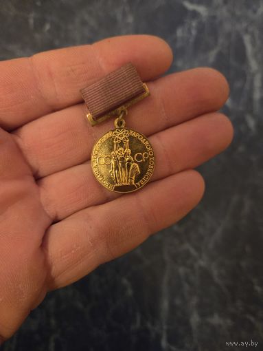 Медаль За успехи в народном хозяйстве СССР