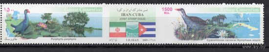 Иран 2009. Птицы. Совместный выпуск с Кубой 2 марки+купон (3142)