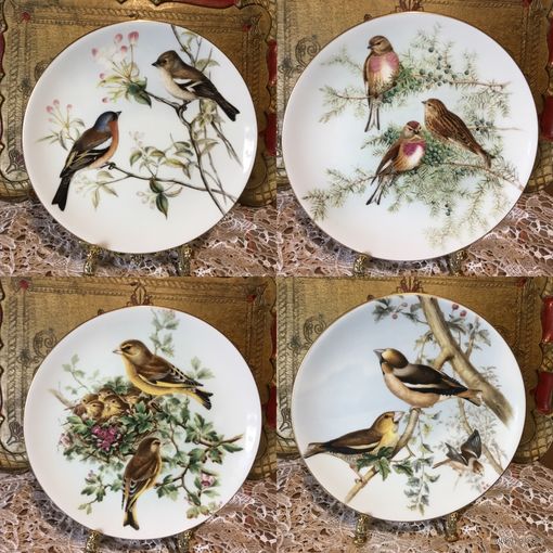 Тарелка коллекционная Птицы Англия Coalport винтаж  2 шт