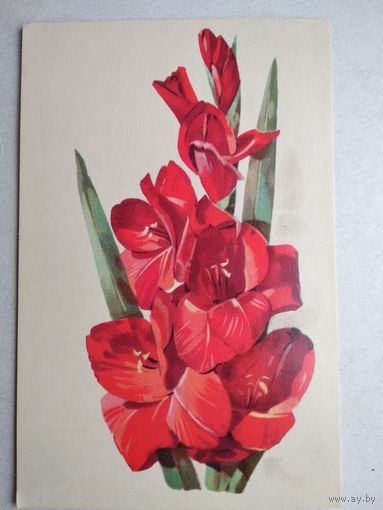 Открытка ,, с праздником ,, куртенко, 1976 г. чистая