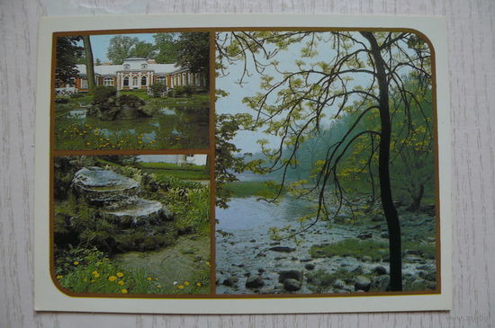 Рязанцев А., Петродворец; 1987, чистая (ДМПК).