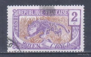 [906] Французские колонии. Среднее Конго 1907. Фауна.Леопард.2 с. Гашеная марка.