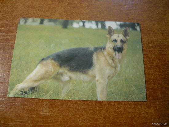 1991.