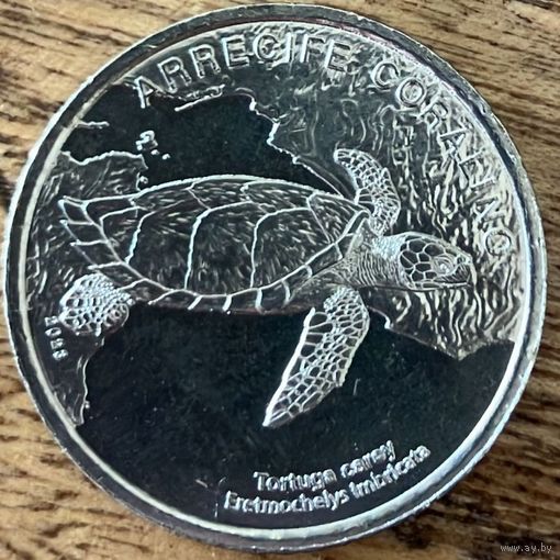 Коста-Рика 50 колонов, 2023 Морская черепаха Хоксбилл UNC