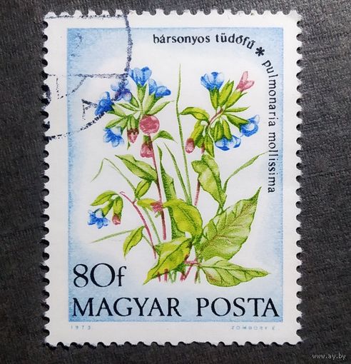 Марка Венгрия 1975 год Цветы