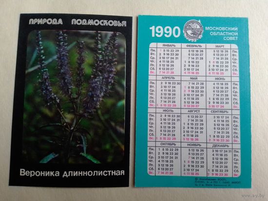 Карманный календарик. Природа Подмосковье. Вероника длиннолистная. 1990 год