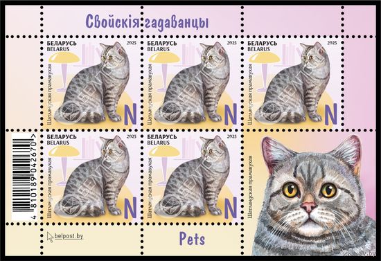 БЕЛАРУСЬ  2025  Малый лист "Детская филателия. Домашние питомцы"  MNH