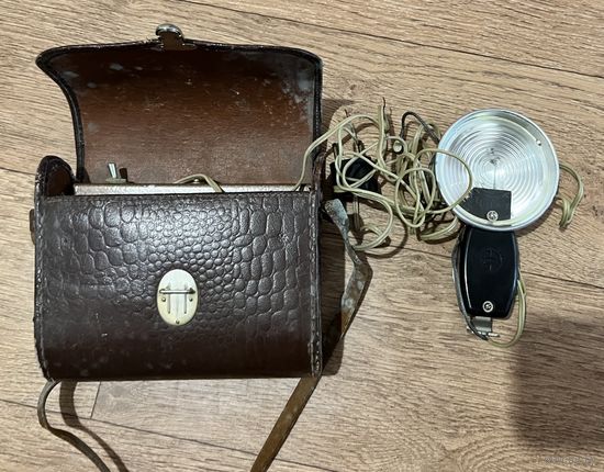 Фотовспышка чайка