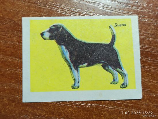 Спичечная этикетка Бигль