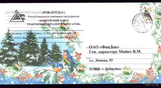2006 год Птички