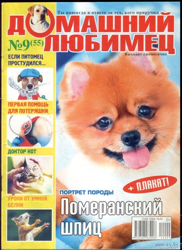 Домашний любимец #55