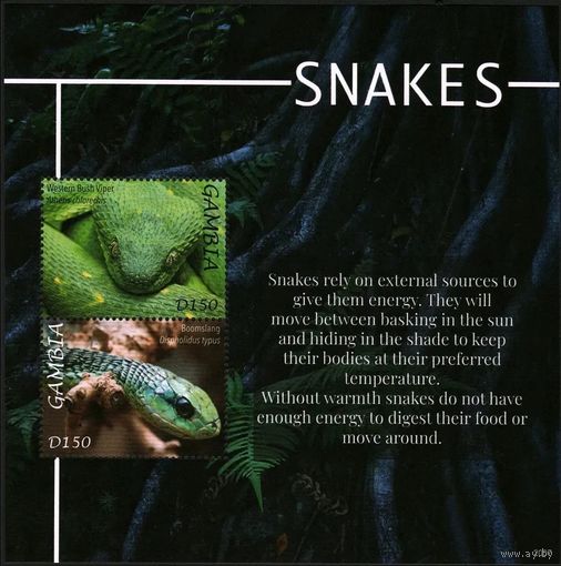2020 Гамбия 7812-7813/B1015 Рептилии - Змеи 15,00 евро