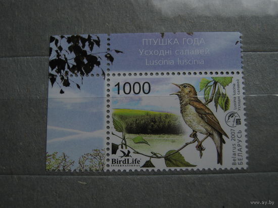Соловей фауна Беларуси 2007 птица года