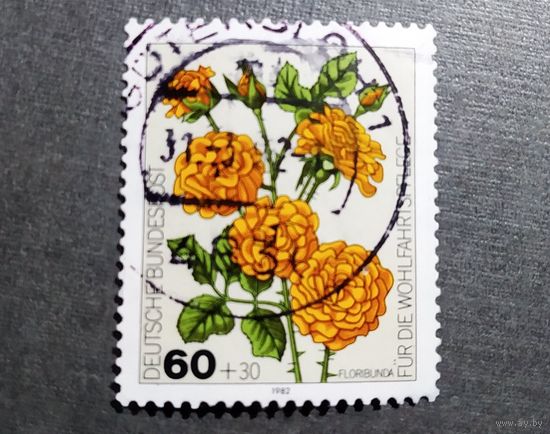 Марка Германия 1982 год Цветы