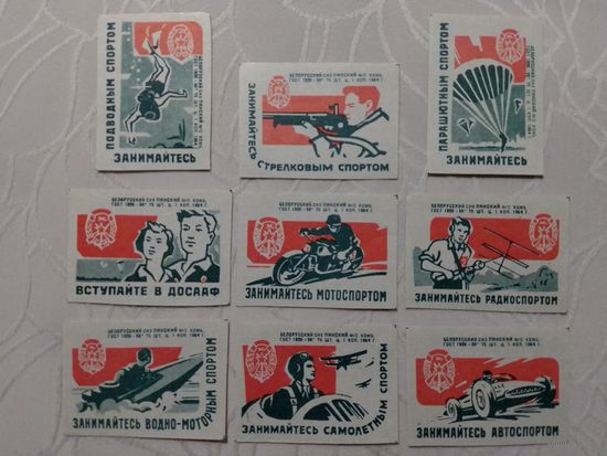 Спичечные этикетки ф.Пинск. ДОСААФ.1964 год