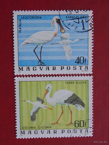 Венгрия 1976 г. Фауна.