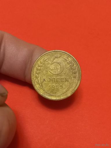 5 копеек 1955г (2)