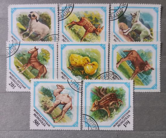 Монголия. 1982г. Домашние животные.