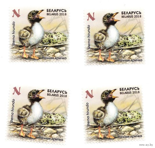 Марка Речная крачка