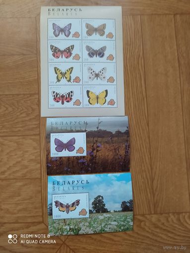 Беларусь малый лист и 2 блока 1996 г. Бабочки