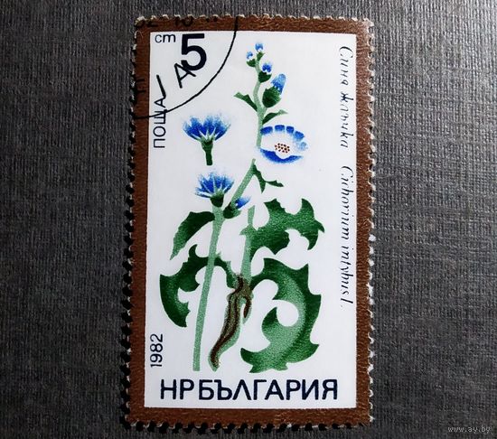 Марка Болгария 1982 год Лекарственные растения