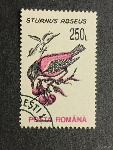 Румыния 1993. Птицы. Розовый скворец
