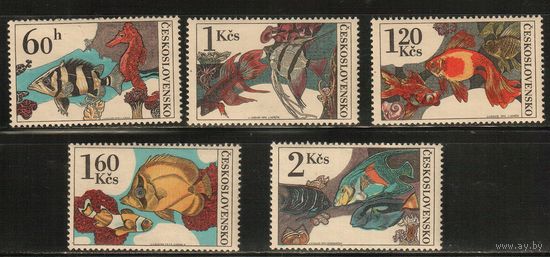 Чехословакия-1975(Мих.2260-2264) , **   ,  Фауна, Рыбы (полная серия)