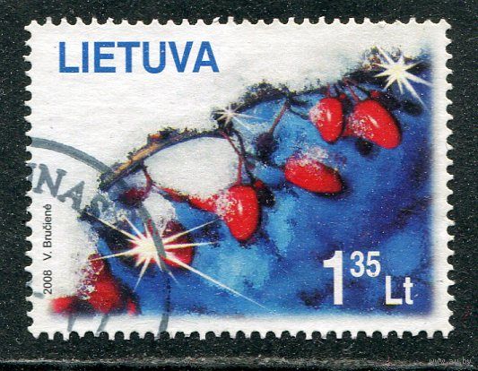 Литва. Рождество 2008