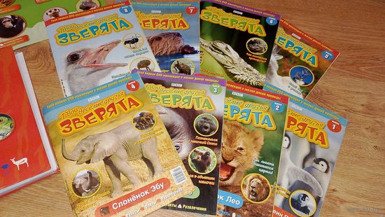 Журналы о животных, Мои веселые зверята в папке