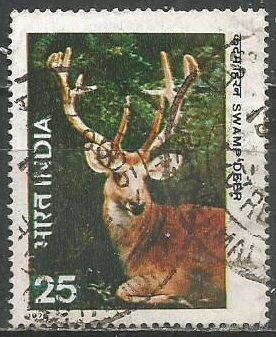 Индия. Болотный олень. 1976г. Mi#691.
