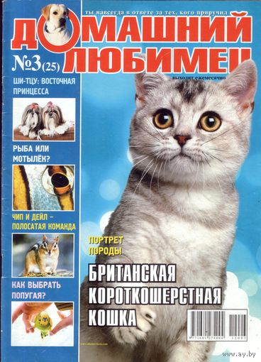 Домашний любимец #25