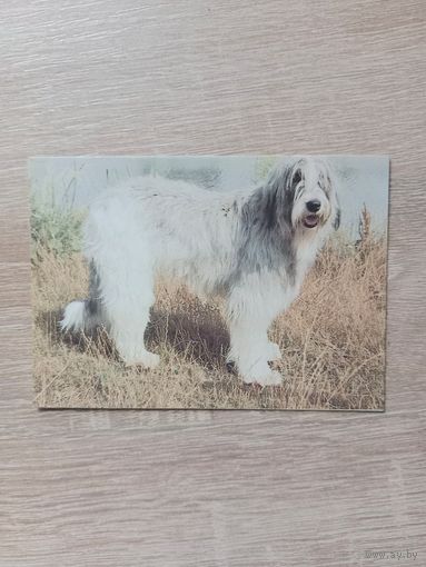 Календарик 1993