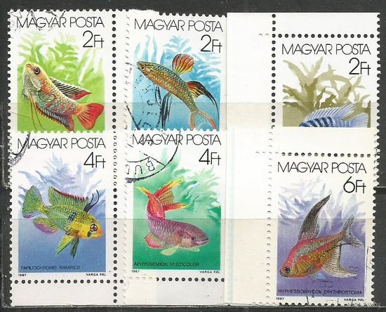 Венгрия. Декоративные рыбки. 1987г. Mi#3877-82. Серия.