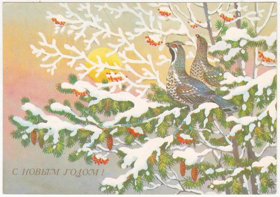 Открытка 1988 (222)