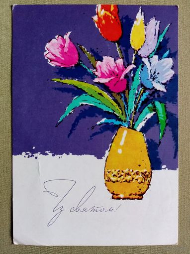 Шимальский 1969 З святом! С праздником! Украинская открытка подписана Тюльпаны #1
