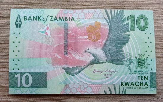 Werty71 Замбия 10 квача 2024 (2025) UNC Банкнота