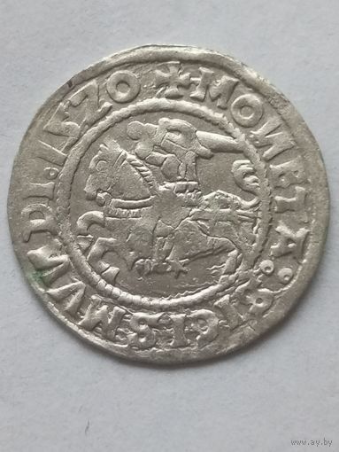 Полугрош 1520