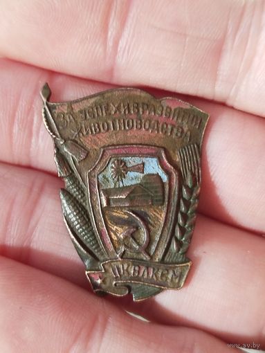 Знак,тяжёлый,за успехи в развитие животноводства,под реставрацию,с рубля