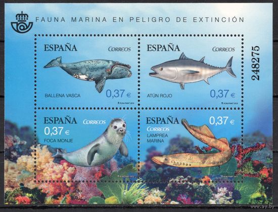 Испания 2013. Фауна.Рыбы Блок (4789)