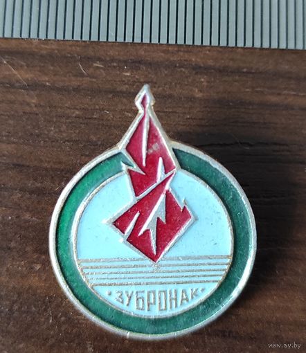Пионерский лагерь Зубрёнок