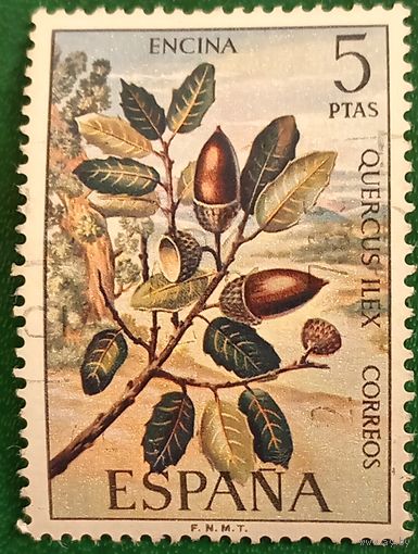 Испания 1972. Вечнозеленый дуб