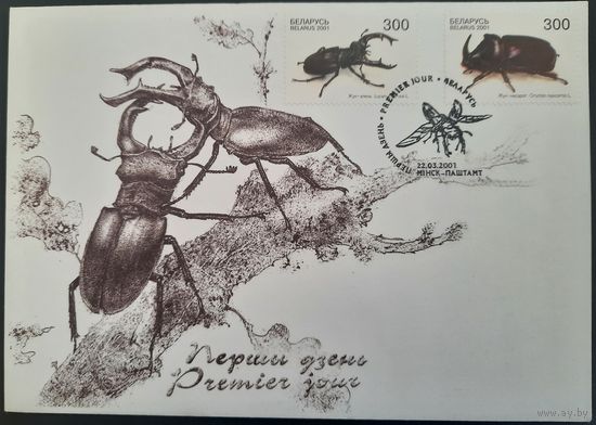 КПД. Жуки. 2001 г.