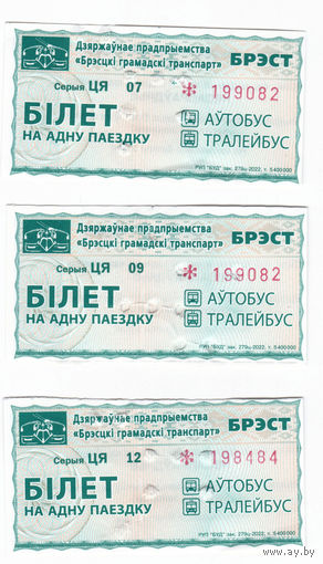 Брест, талон серии ЦЯ (2022г.)