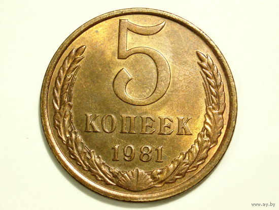 5 копеек 1981 aUNC #3