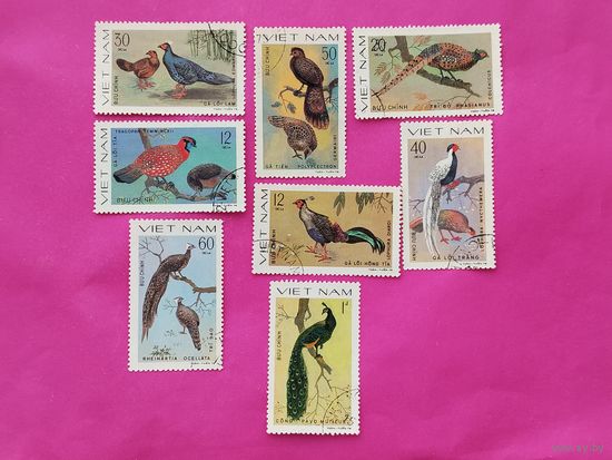 Вьетнам. Птицы. Фазаны. ( 8 марок ) 1979 года. 11-6.