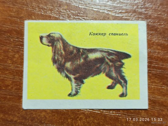 Спичечная этикетка Коккер спаниель
