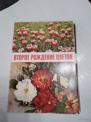 ВТОРОЕ РОЖДЕНИЕ ЦВЕТОВ. Набор открыток, 16 штук, издательство ПРАВДА, 1971 год. /ЮК