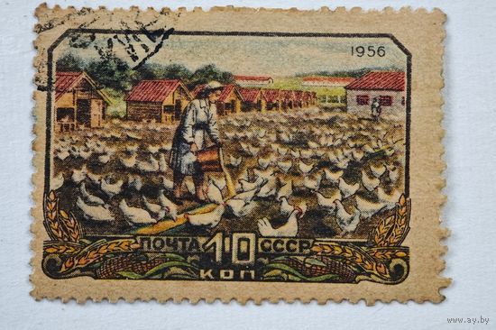 1956 год СССР марка